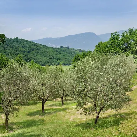 Casa Del Bosco