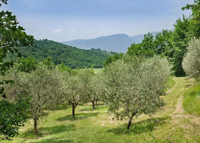 Casa Del Bosco